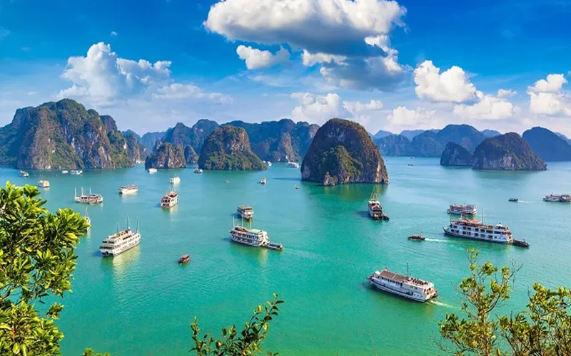 Top 5 Best Halong Bay Cruises in 2025 – A Luxury Journey on the Sea