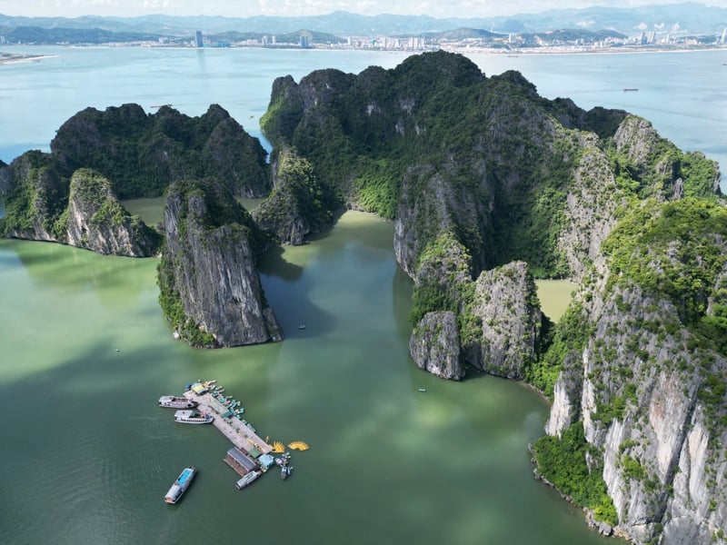 Tour Hạ Long 1 ngày 4 tiếng – Dragonfly Cruise, Động Thiên Cung & Kayak