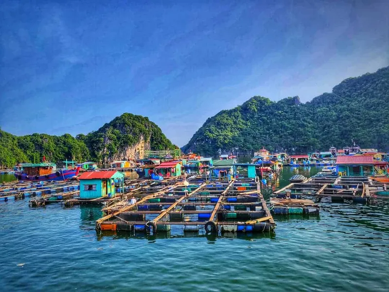 Paradise Peak -  Ha Long 3 days 2 nights