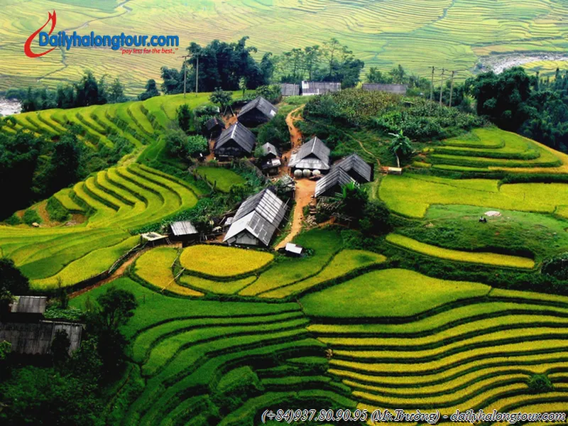 Hà Nội - Hạ Long - Tuần Châu - Hoa Lư - Tam Cốc - Sapa (7ngày–6 đêm)