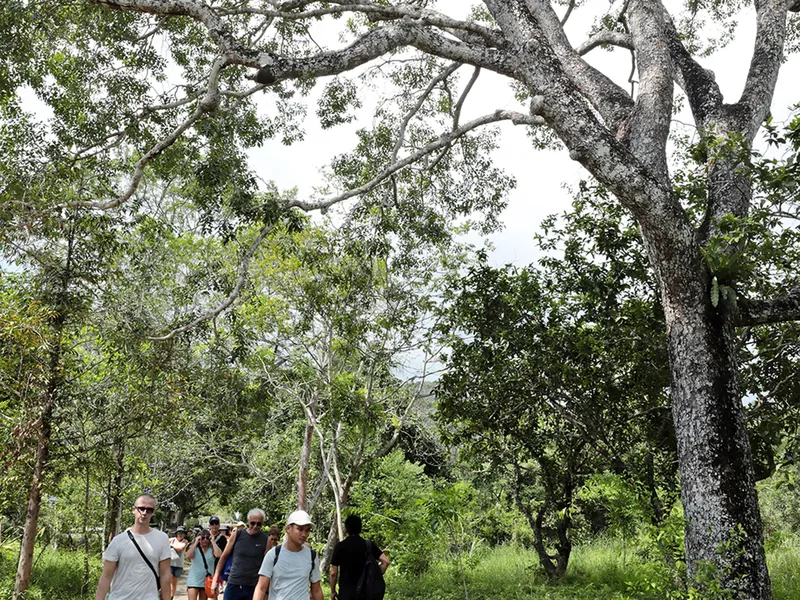 HALF-DAY TREKKING TOUR CAT BA NATIONAL PARK