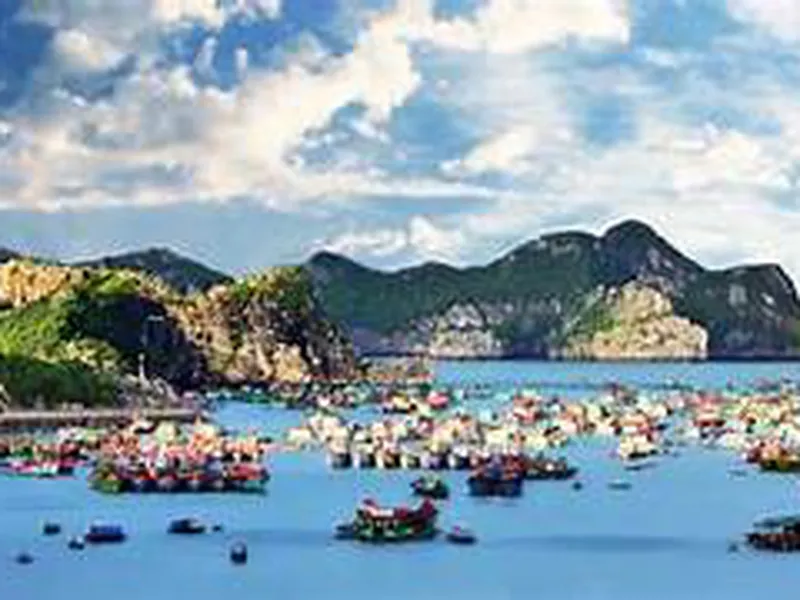 Tour Cát Bà 3 Ngày 2 Đêm ở Resort – Khách Sạn