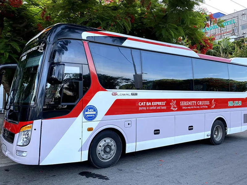 XE DAIICHI BUS THƯỜNG - CÁP TREO