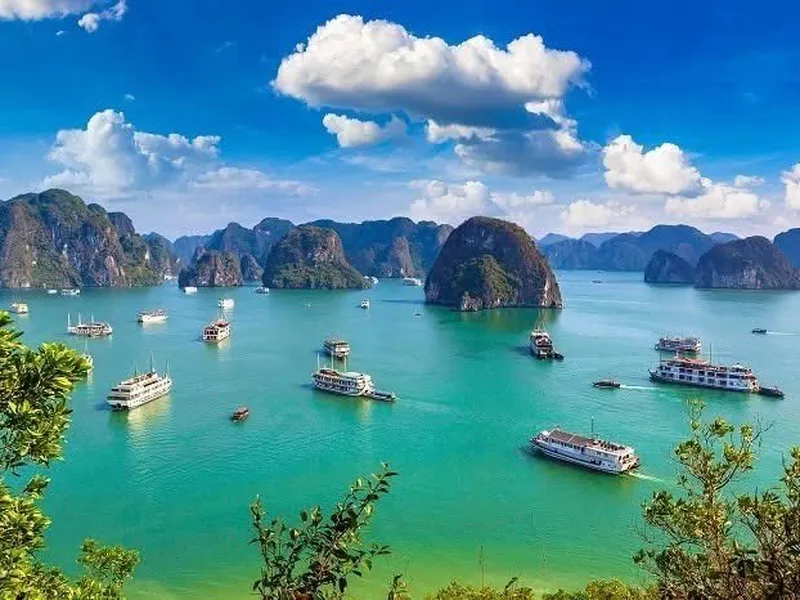 Cat Ba Free and Easy tour packages