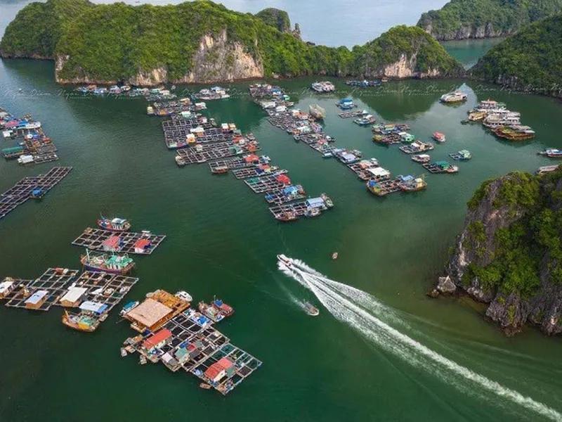SKYWAY -  LAN HA BAY - VIET HAI ECO-VILLAGE (01 DAY)