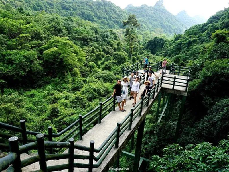 TOUR TREKKING NỬA NGÀY VƯỜN QUỐC GIA CÁT BÀ 
