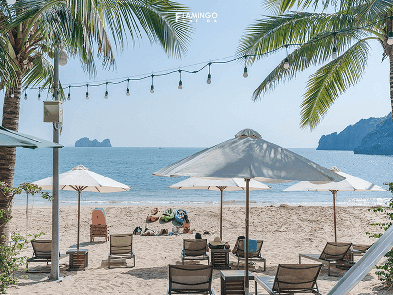 CÁT BÀ 2N1Đ TỪ HẢI PHÒNG -NGỦ ĐẢO