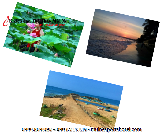 Hãy lựa chọn Khách sạn Thể thao Mũi Né cho những trải nghiệm khó quên ngay hôm nay Hãy lựa chọn Khách sạn Thể thao Mũi Né cho những trải nghiệm khó quên ngay hôm nay