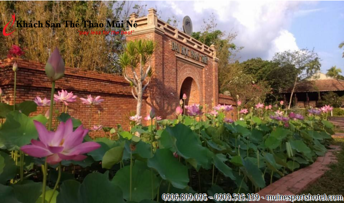 Khách sạn Thể thao Mũi Né rất gần trường Đại học Phan Thiết Khách sạn Thể thao Mũi Né rất gần trường Đại học Phan Thiết