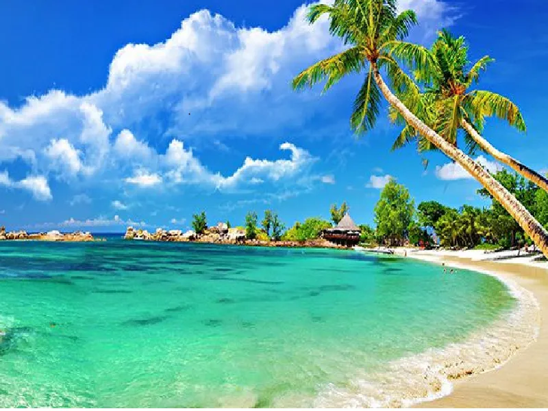 Gợi Ý Hành Trình Du Lịch Mũi Né 3 Ngày 2 Đêm