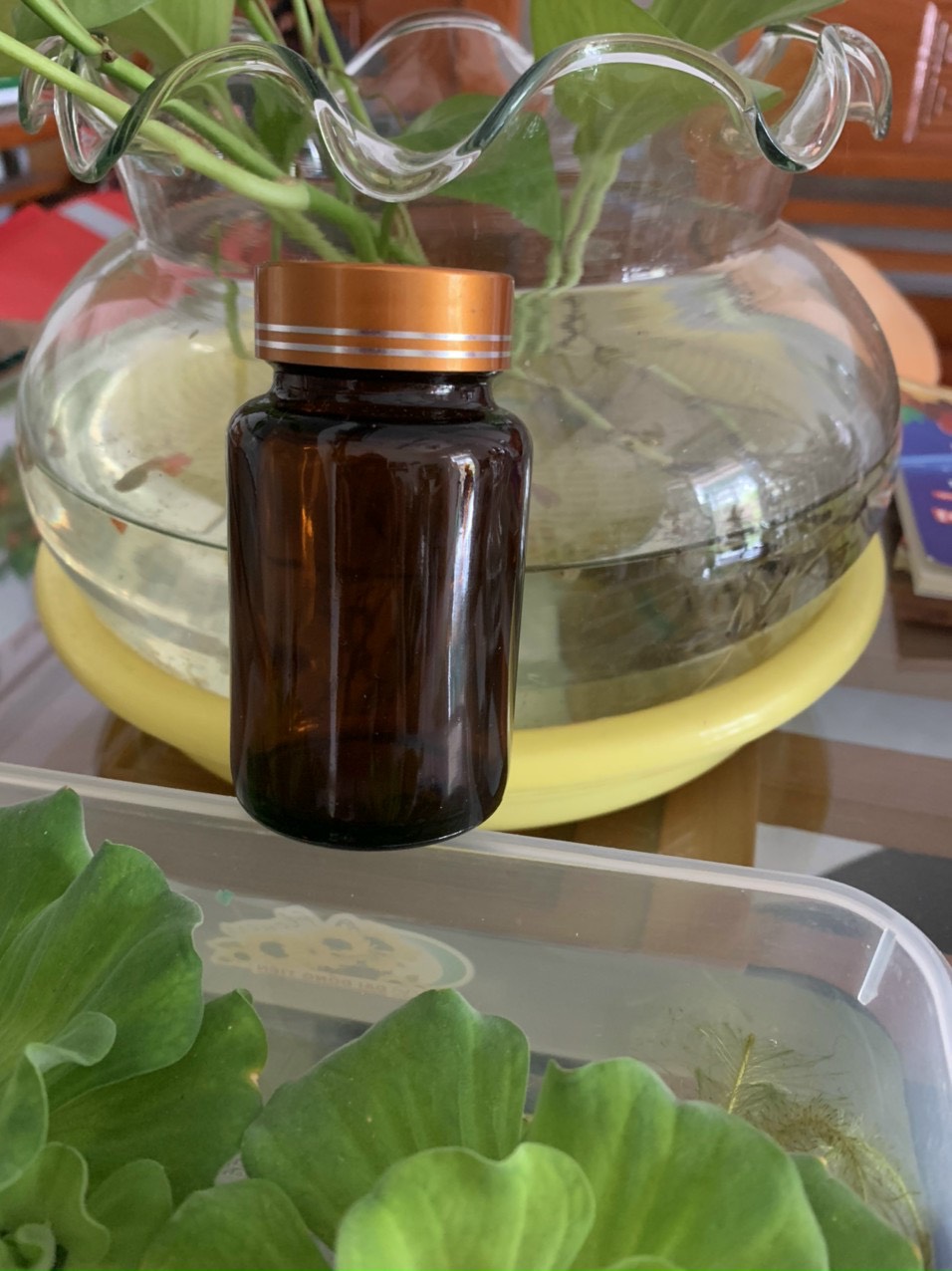 Chai nhựa pet đựng thuốc viên