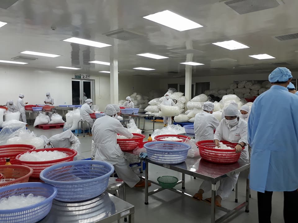 Cơ sở sản xuất bao bì chai lọ nhựa đạt chuẩn GMP đã hoạt động gần 10 năm nay