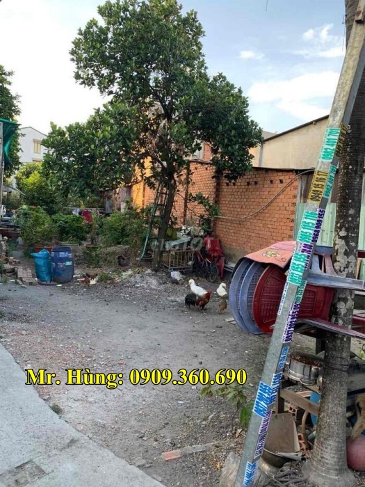 đất dĩ an giá rẻ