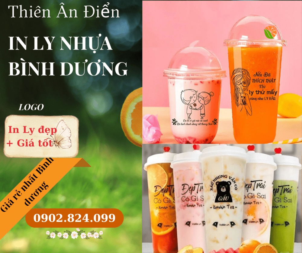 in ly nhua gia re binh duong