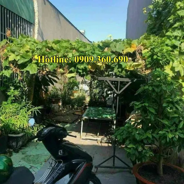 MUA ĐẤT DĨ AN BÌNH DƯƠNG?Chính chủ cần tiền bán gấp lô đất 93m2 - thổ cư 60m2 - Gần chợ Dĩ an – Khu Phố Đông Tác, Phường Tân Đông Hiệp, Tp.Dĩ an, Bình dương