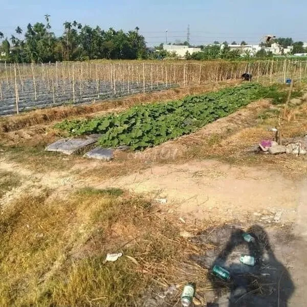 ĐẤT DĨ AN GIÁ RẺ - BÁN GẤP 2 THỬA ĐẤT - DIỆN TÍCH 93M2 - GIÁ CỰC RẺ - 93m2