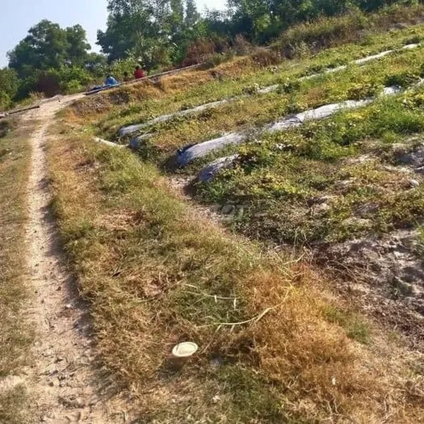 ĐẤT DĨ AN GIÁ RẺ - BÁN GẤP 2 THỬA ĐẤT - DIỆN TÍCH 93M2 - GIÁ CỰC RẺ - 93m2