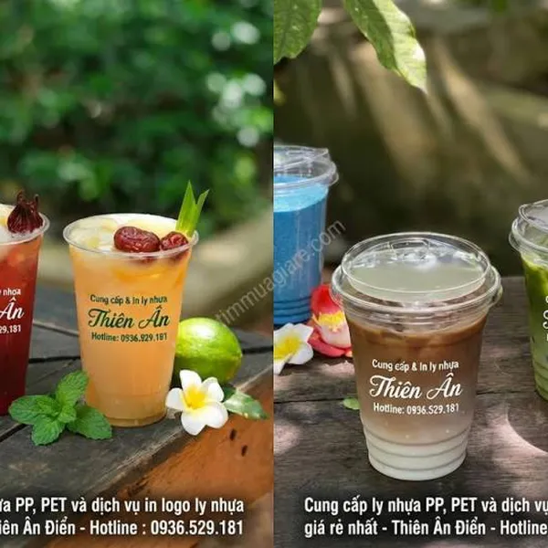 In Ly Nhựa Thuận An – Giá Sỉ Tận Xưởng, Giao Nhanh VSIP, Lái Thiêu