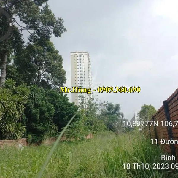 MUA ĐẤT DĨ AN CHÍNH CHỦ – Chính chủ bán lô đất mặt tiền đường Lồ Ô tại phường Bình An, Thành phố Dĩ an, Bình dương.