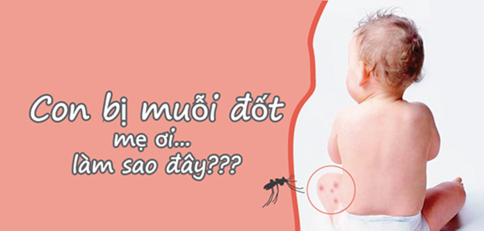 Bé bị muỗi đốt? Các mẹ phải cần có biện pháp gì? Bé bị muỗi đốt? Các mẹ phải cần có biện pháp gì?