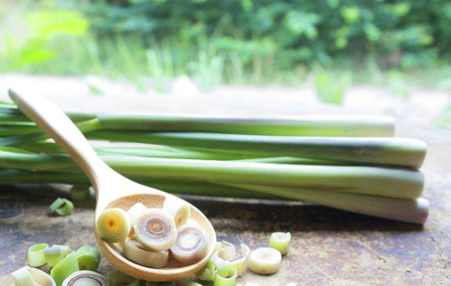 Loại sữa tắm cho bé nào có hương thơm sả chanh? Loại sữa tắm cho bé nào có hương thơm sả chanh?