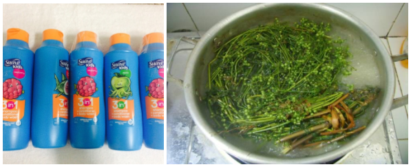 Nếu muốn tốt cho bé mẹ nên chọn lựa kỹ càng trước khi quyết định dùng sữa tắm hay nấu nước lá tắm cho trẻ Nếu muốn tốt cho bé mẹ nên chọn lựa kỹ càng trước khi quyết định dùng sữa tắm hay nấu nước lá tắm cho trẻ