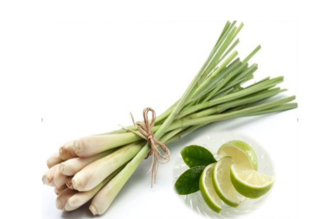 Tinh dầu chanh, sả đuổi côn trùng hiệu quả Tinh dầu chanh, sả đuổi côn trùng hiệu quả