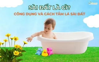 Sài Đất là gì? Công dụng và cách tắm lá Sài Đất cho trẻ sơ sinh
