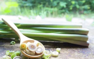Loại sữa tắm cho bé nào có hương thơm sả chanh?