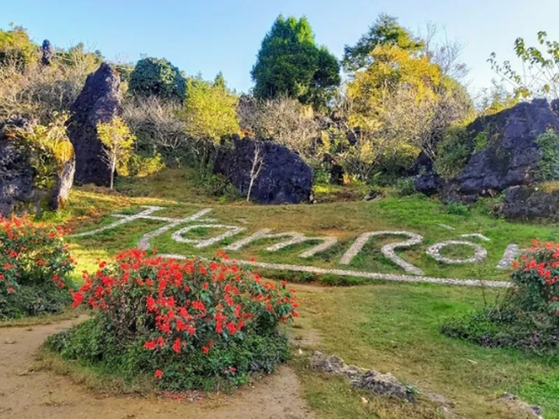 Ham Rong Peak: The Imperial Garden in the Clouds – Explore Sapa from the Highest Viewpoint in Town