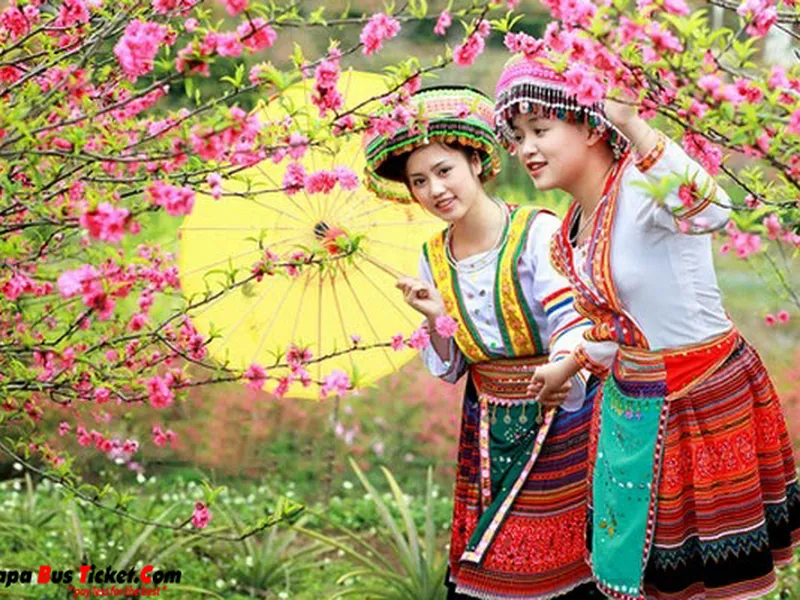 Beautiful spring Sapa