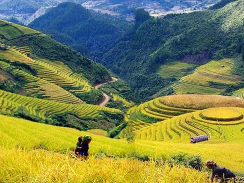 The different of bus ticket prices to sapa of some providers