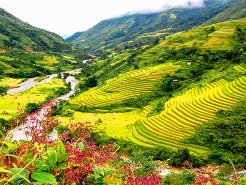 A-Z Guide to choose safety buses to sapa