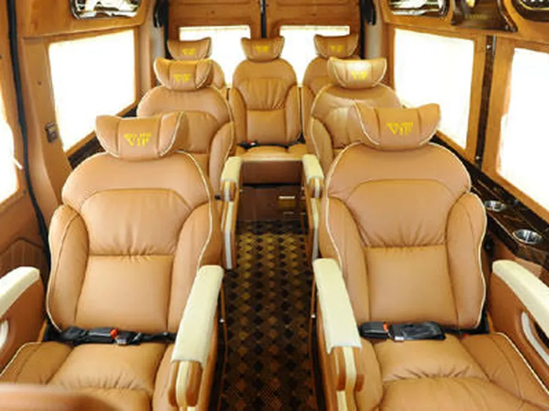 ECOSAPA BUS VIP