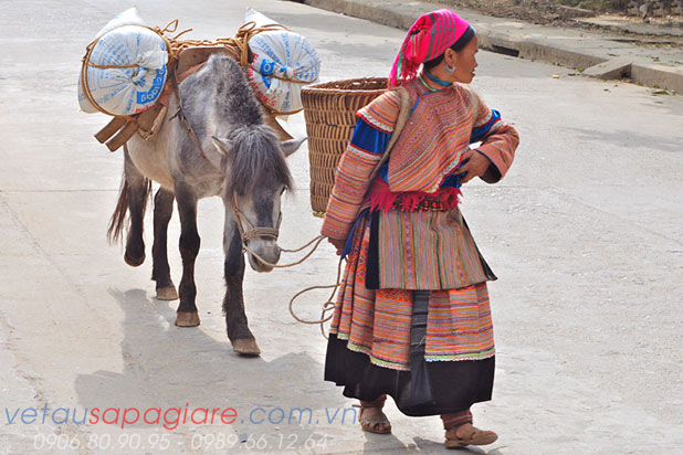 sapa train ticket - Orient Express train sapa train ticket - Orient Express train