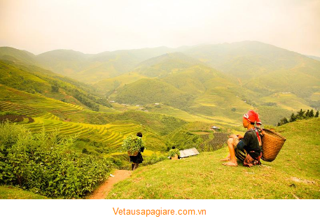 Phong cảnh tuyệt đẹp ở Sapa mùa lúa chín Phong cảnh tuyệt đẹp ở Sapa mùa lúa chín