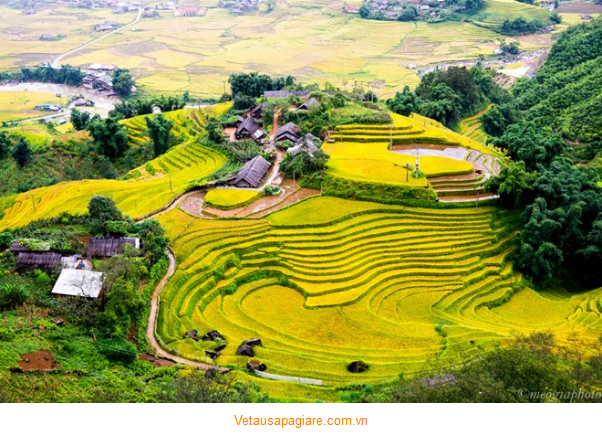 Những ruộng bậc thang tuyệt đẹp ở Sapa Những ruộng bậc thang tuyệt đẹp ở Sapa
