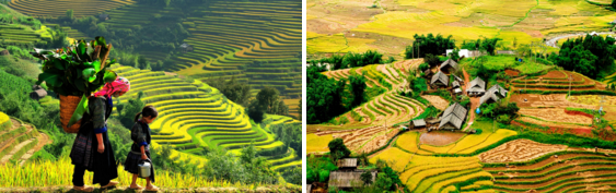 Vé tàu đi sapa đầy núi non với những màn sương mờ ảo Vé tàu đi sapa đầy núi non với những màn sương mờ ảo