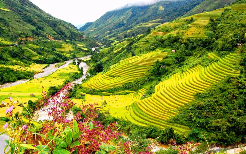 5 The village that visitors enthralled when traveling Sapa