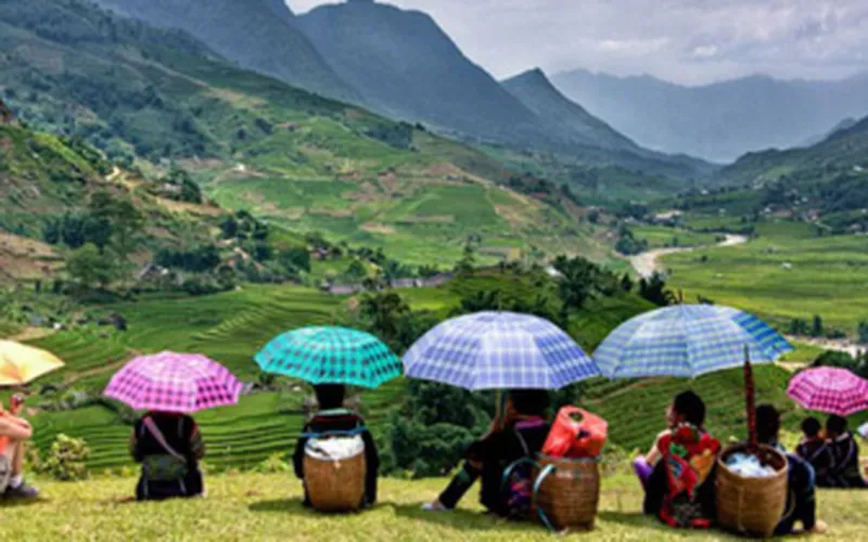 Waring the risk of buying low fare Sapa train ticket