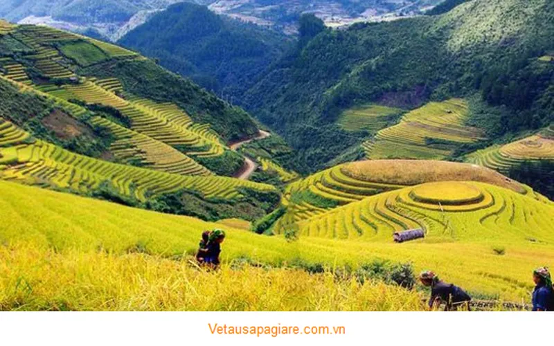 Reputable Sapa train ticket agent