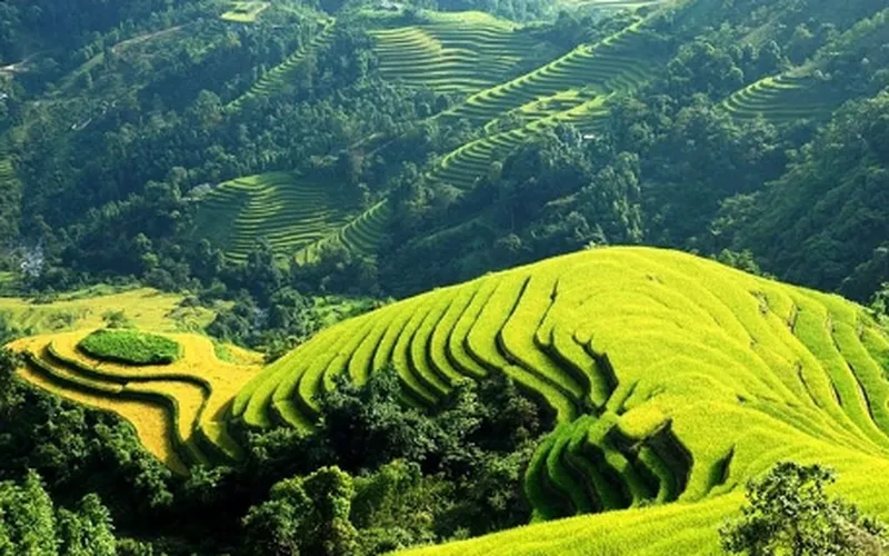 Kinh nghiệm mua vé tàu du lịch sapa