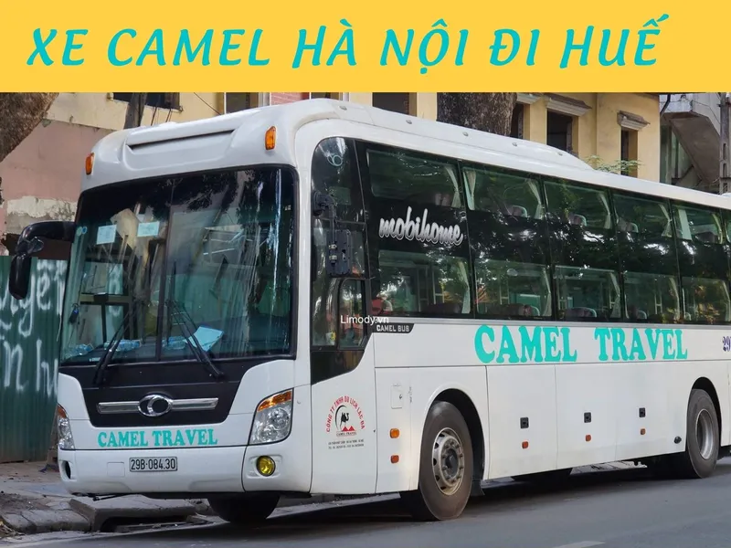 CAMEL TRAVEL ( 19:00 - Daily)