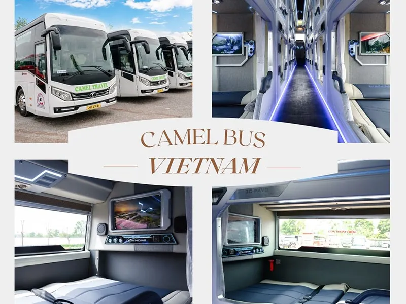 CAMEL TRAVEL ( 19:00 - Daily)