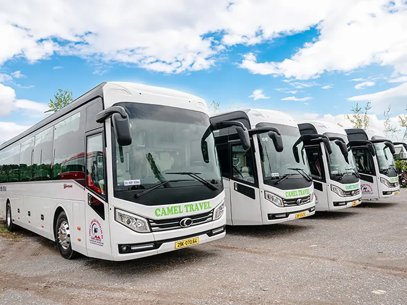 CAMEL TRAVEL ( 19:00 - Daily)
