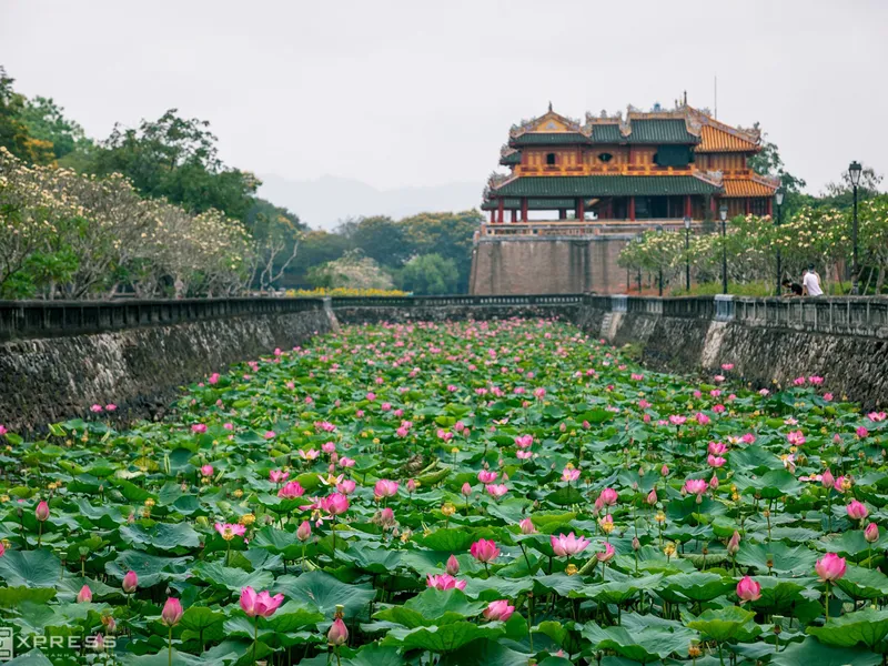 Unique Hue Travel: More Than Just Royal Tombs and Thien Mu Pagoda