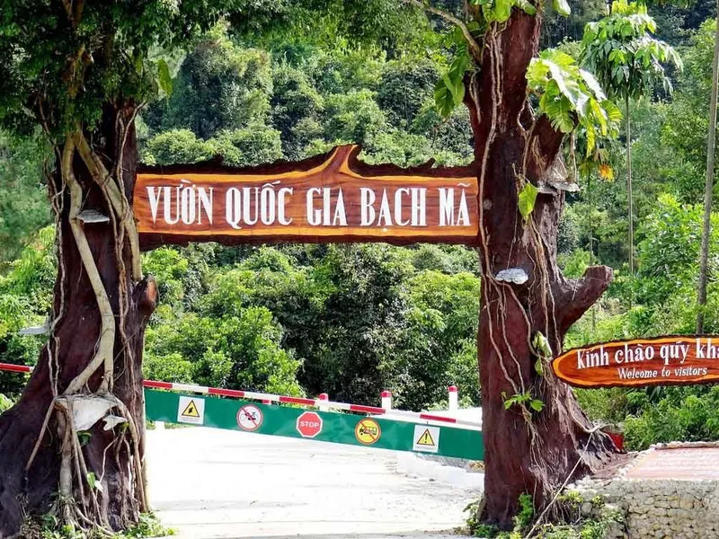 A Green Paradise: Discover Hue With Bach Ma National Park and the Majestic Side of Hue's Beauty in Nature