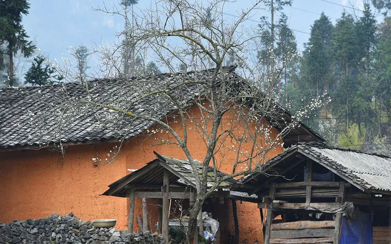 DU LỊCH HÀ GIANG 3 NGÀY 4 ĐÊM - TRẢI NGHIỆM NGỦ HOMESTAY