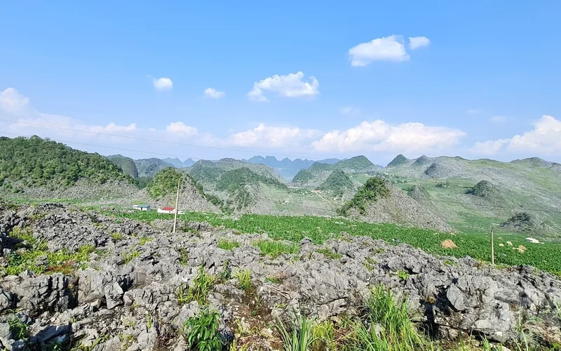 Tour Hà Giang 3 ngày 3 đêm - Ô tô