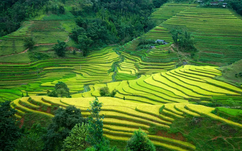 DU LỊCH HÀ GIANG 3 NGÀY 4 ĐÊM - TRẢI NGHIỆM NGỦ HOMESTAY